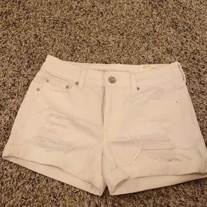 American Eagle 4 White